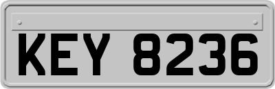 KEY8236