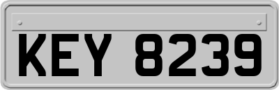 KEY8239