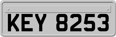 KEY8253