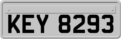 KEY8293