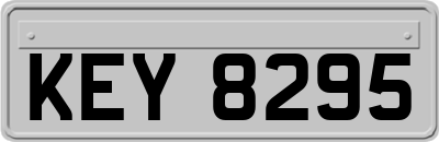 KEY8295