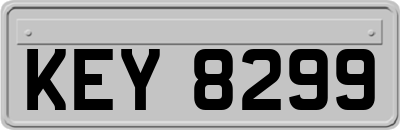 KEY8299