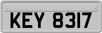 KEY8317