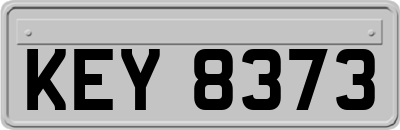 KEY8373