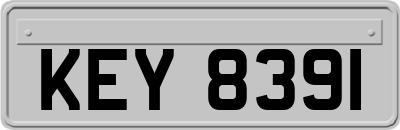 KEY8391