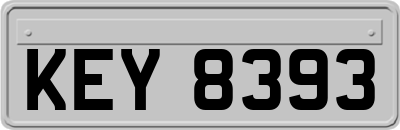 KEY8393