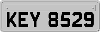 KEY8529