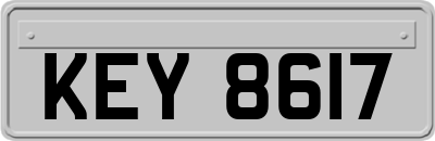 KEY8617
