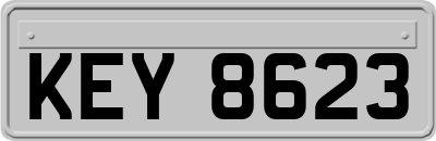 KEY8623