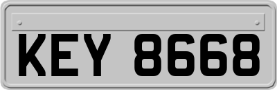 KEY8668