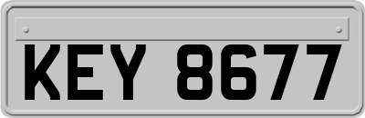 KEY8677