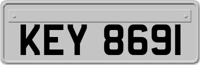 KEY8691