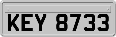 KEY8733