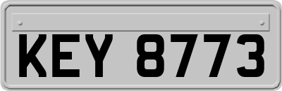 KEY8773