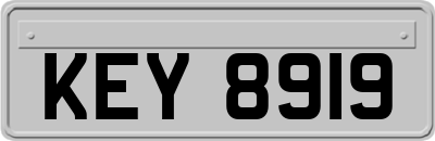 KEY8919
