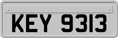 KEY9313