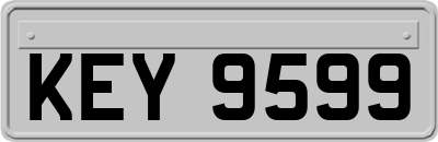 KEY9599