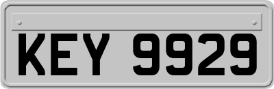 KEY9929