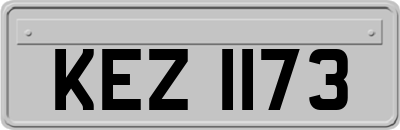 KEZ1173