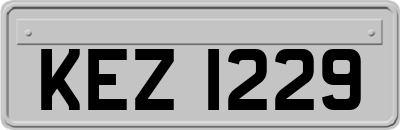 KEZ1229