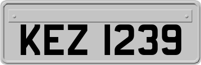 KEZ1239