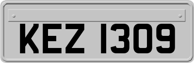 KEZ1309