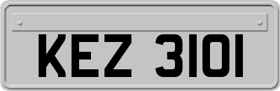 KEZ3101