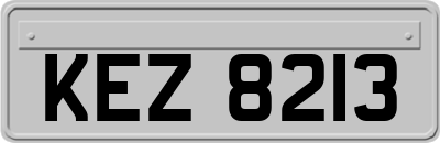 KEZ8213
