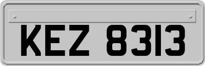 KEZ8313