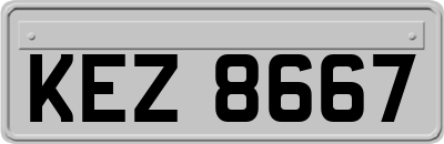 KEZ8667