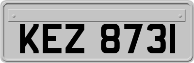 KEZ8731