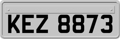 KEZ8873