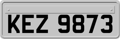 KEZ9873