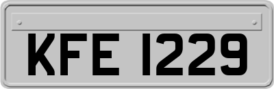 KFE1229