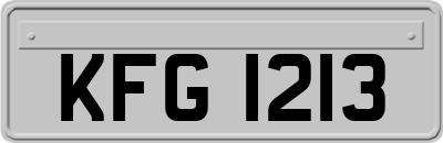 KFG1213