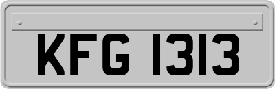 KFG1313