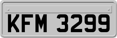 KFM3299
