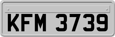 KFM3739
