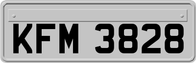 KFM3828