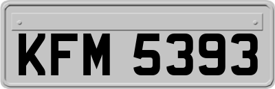 KFM5393