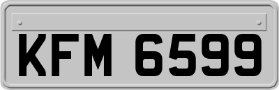KFM6599