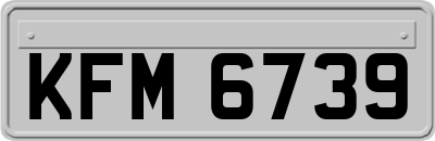KFM6739