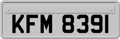 KFM8391