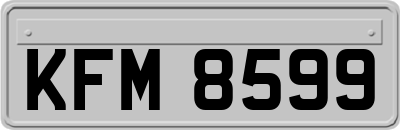 KFM8599