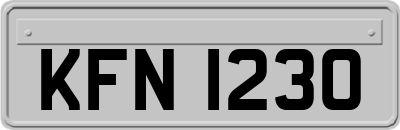 KFN1230