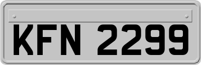 KFN2299