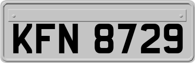 KFN8729