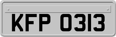 KFP0313