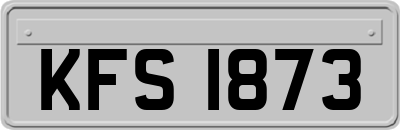 KFS1873