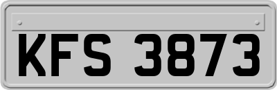 KFS3873